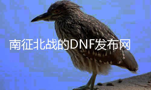 南征北战的DNF发布网（南征北战官网）