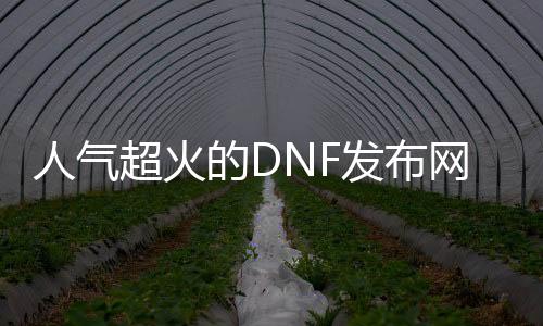 人气超火的DNF发布网