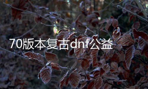 70版本复古dnf公益服发布网（地下城与勇士70复古版）