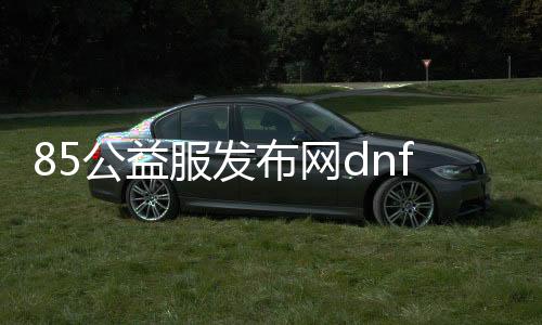 85公益服发布网dnf（享受纯净游戏乐趣的选择）