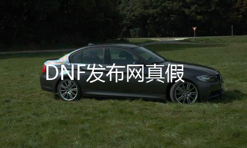 DNF发布网真假