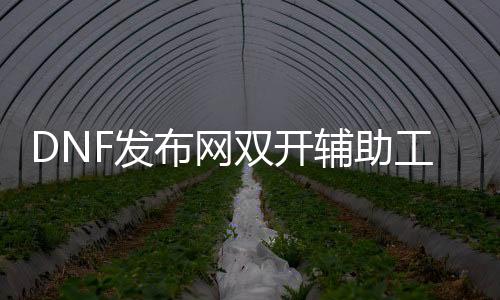 DNF发布网双开辅助工具（dnf辅助能双开吗）