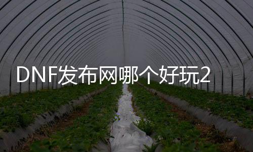 DNF发布网哪个好玩2018