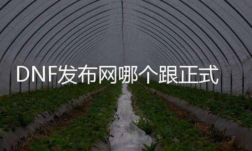 DNF发布网哪个跟正式服最接近