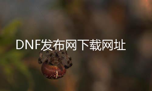 DNF发布网下载网址