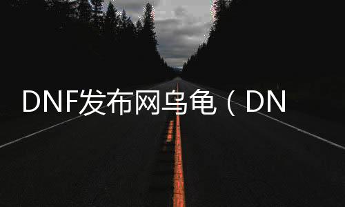 DNF发布网乌龟（DNF发布网新版本乌龟在哪里打）