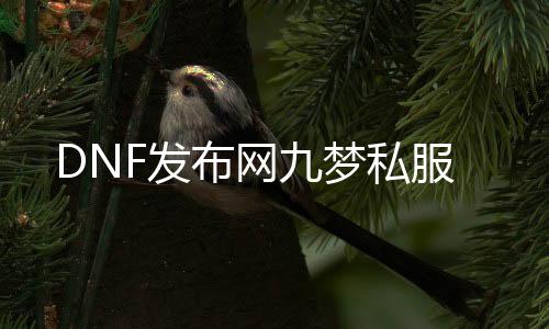 DNF发布网九梦私服