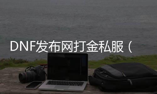 DNF发布网打金私服（2021DNF发布网打金）