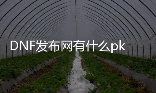 DNF发布网有什么pk的私服（DNF发布网 pk排行榜）