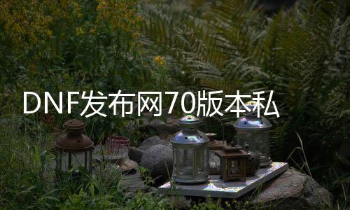 DNF发布网70版本私服（70DNF发布网与勇士）