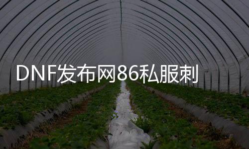 DNF发布网86私服刺客（DNF发布网86版本刺客史诗套装选择）