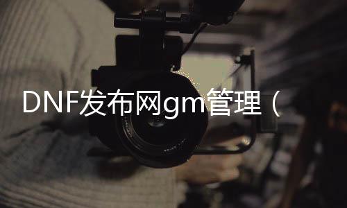 DNF发布网gm管理（DNF发布网与勇士gm工具）