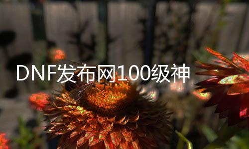 DNF发布网100级神话版本私服（DNF发布网100级版本神话装备可以交易吗）