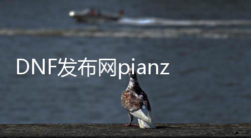 DNF发布网pianzi