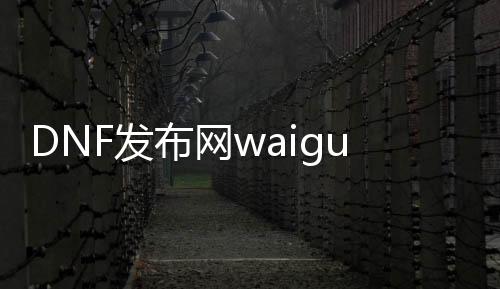 DNF发布网waigua