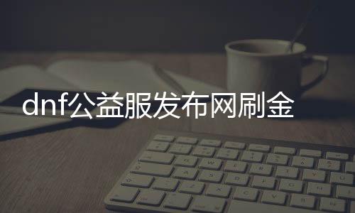 dnf公益服发布网刷金币（dnf公益服发布网服务器在哪买）