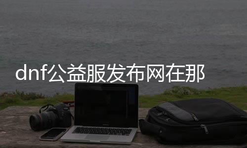 dnf公益服发布网在那打东西（dnf公益服发布网开服时间）