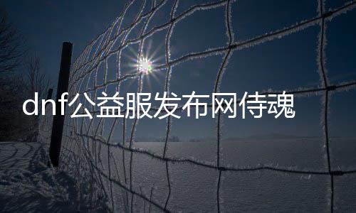 dnf公益服发布网侍魂服怎么玩, dnf公益服发布网侍魂服下载安装教程