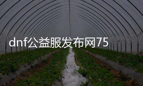 dnf公益服发布网75版本新职业解析，最强75版本公益服发布网推荐