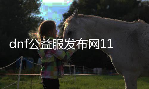 dnf公益服发布网110版本无cd技巧分享,打造高效无cd游戏体验