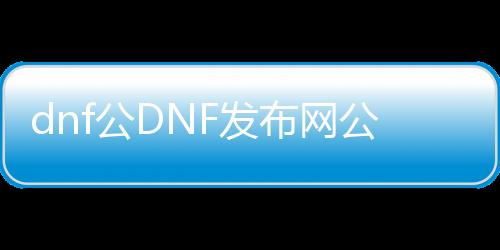 dnf公DNF发布网公益服发布网（DNF发布网与勇士公益服发布网网）