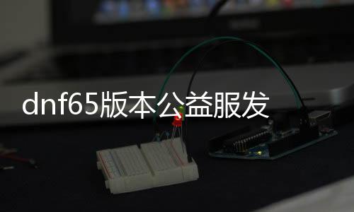 dnf65版本公益服发布网（全新版本公益服发布网上线）