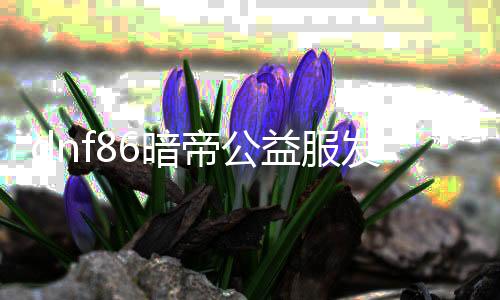 dnf86暗帝公益服发布网（dnf暗帝还能玩吗）