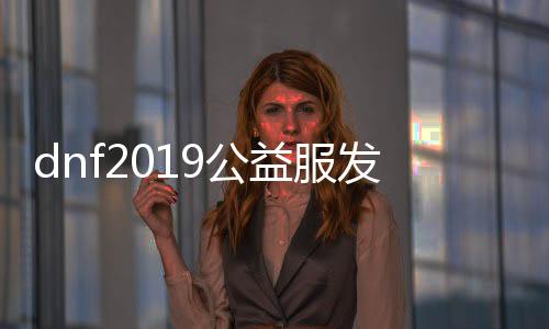 dnf2019公益服发布网（dnf公益服发布网啥意思）