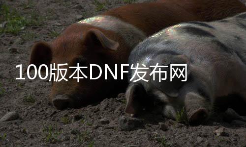 100版本DNF发布网龙袍天空（DNF发布网龙袍跟天空混搭）