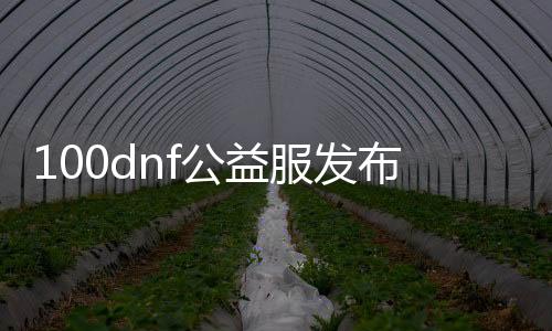 100dnf公益服发布网（100dnf公益服发布网开放时间注册方法）