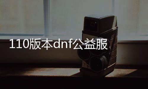 110版本dnf公益服发布网（了解最新版本的dnf公益服发布网）