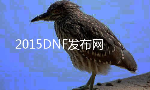 2015DNF发布网