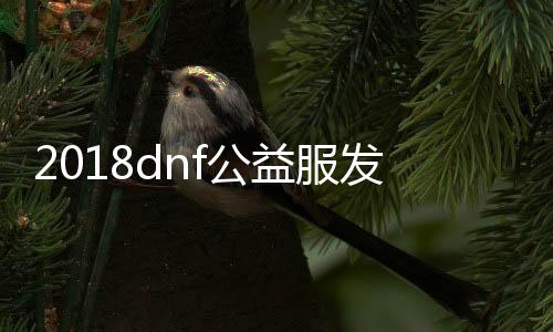 2018dnf公益服发布网那个好玩（dnf86版公益服发布网）