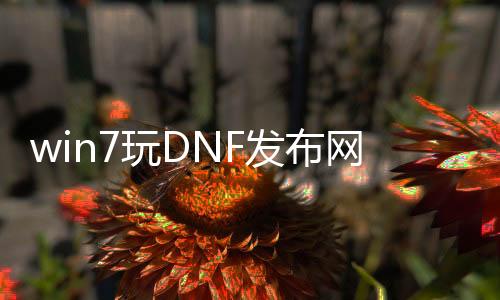 win7玩DNF发布网闪退（玩dnf老是闪退）